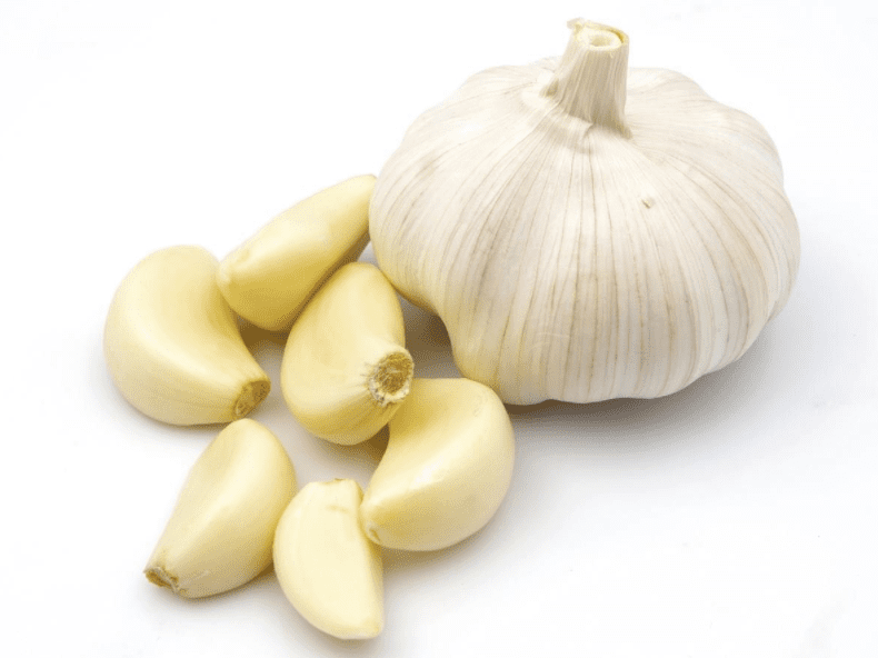 A 12-week trial investigating the effectiveness of odourless Kyolic Garlic on Gut microbiota, Inflammation, Cognition, cortisol levels, and cardiovascular markers.