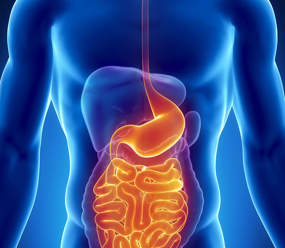 The GUT RELIEF STUDY