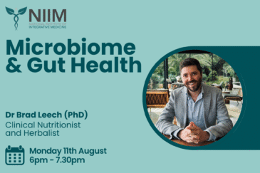 Microbiome & Gut Health: A Patient’s Guide to Wellness